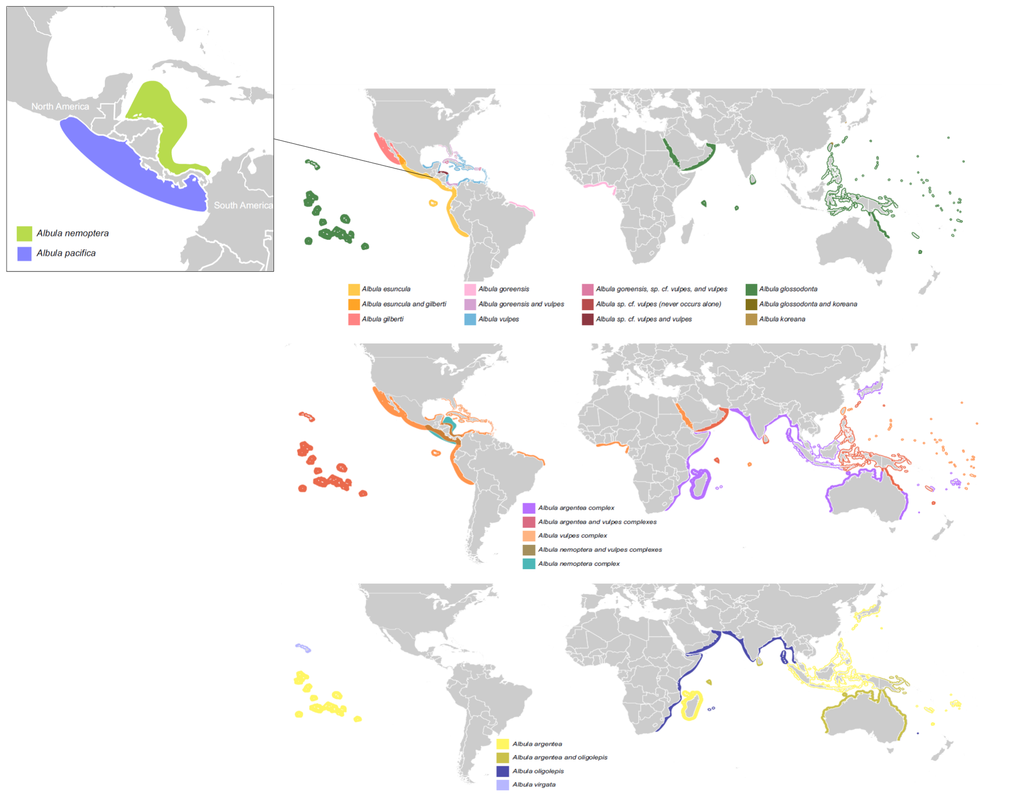 map of bonefish distribution