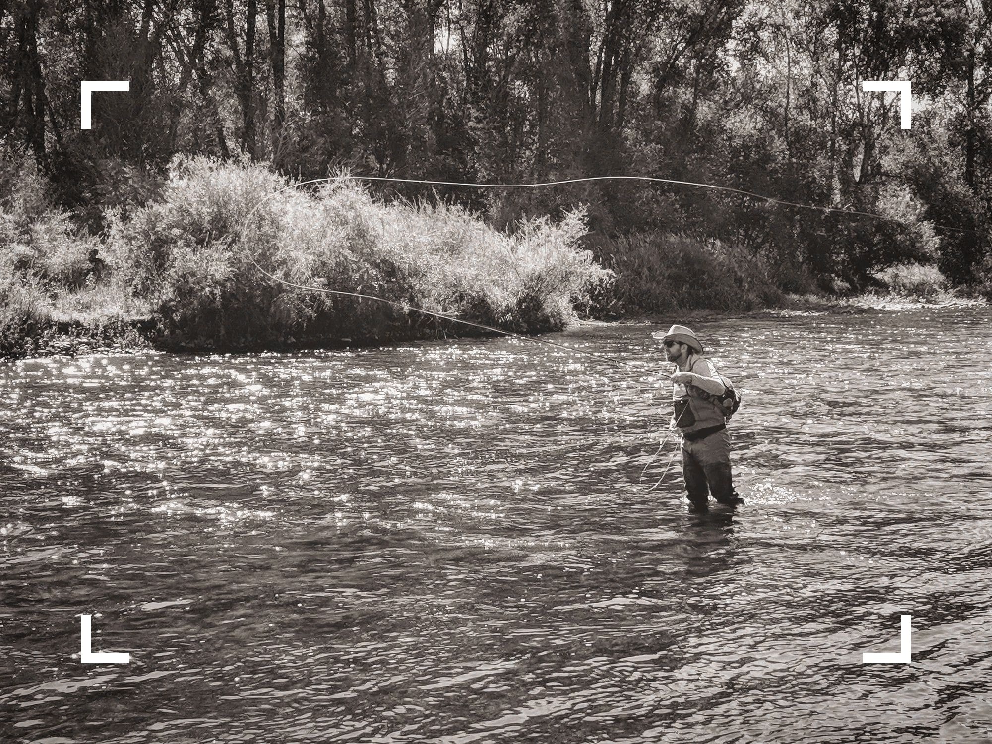 casting a fly rod on the Gunnison River, Colorado