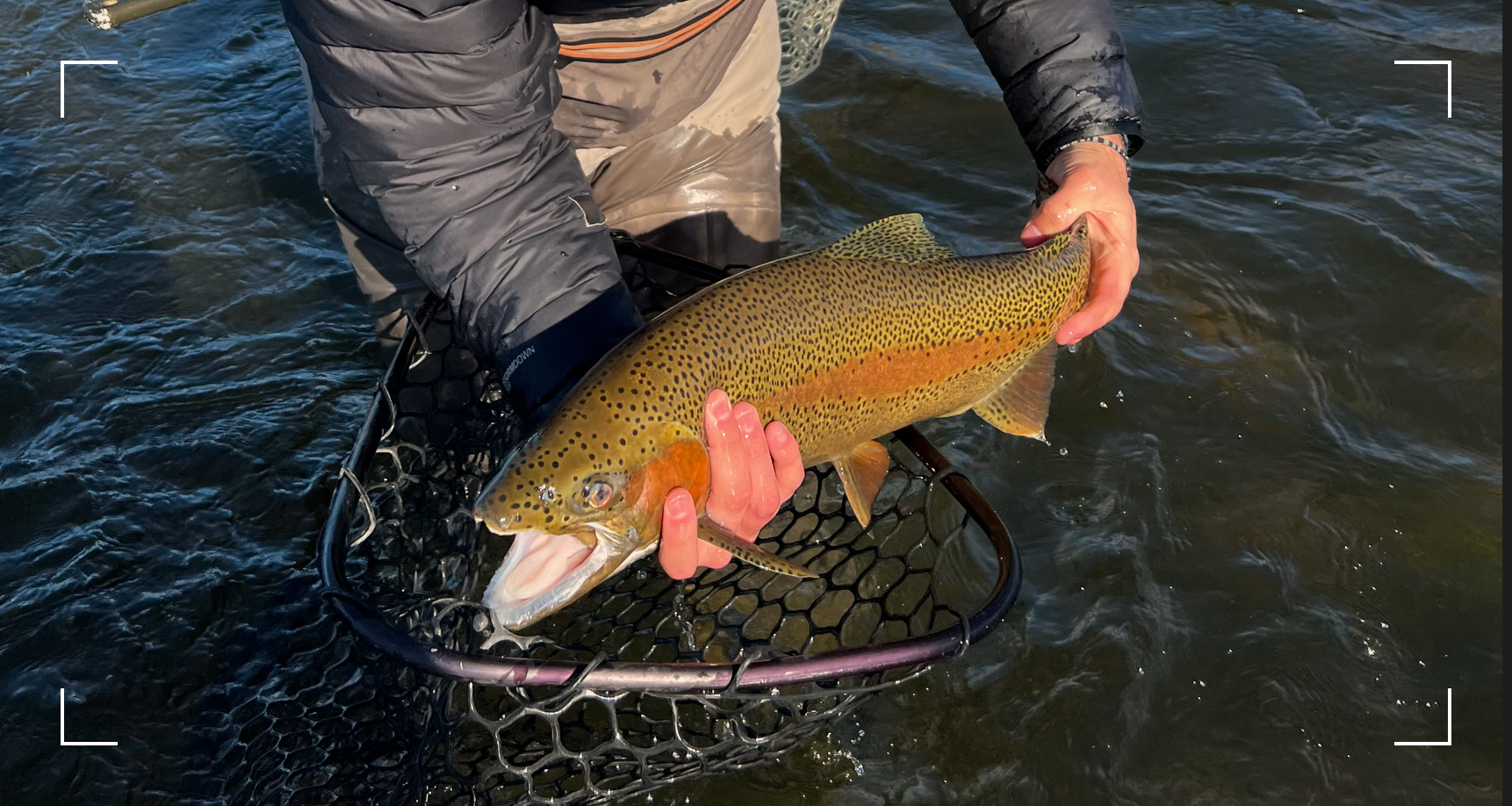 Miracle Mile Fly Fishing, double tailwater, tailwater fly fishing, Dream Stream, Land of the Giants, Montana