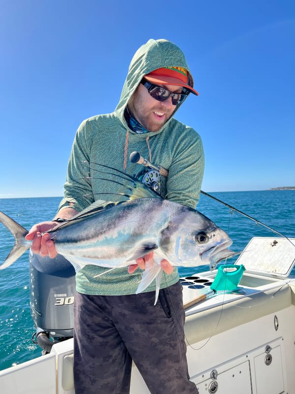 Fly fishing for rooster fish in Baja, Mexico