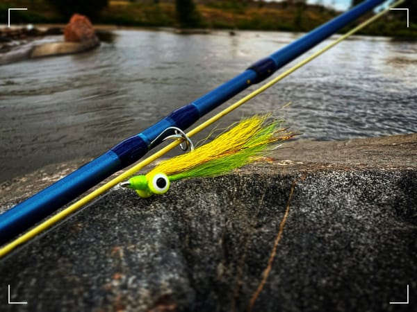 clouser minnow fly pattern, do fish know when they get hooked?