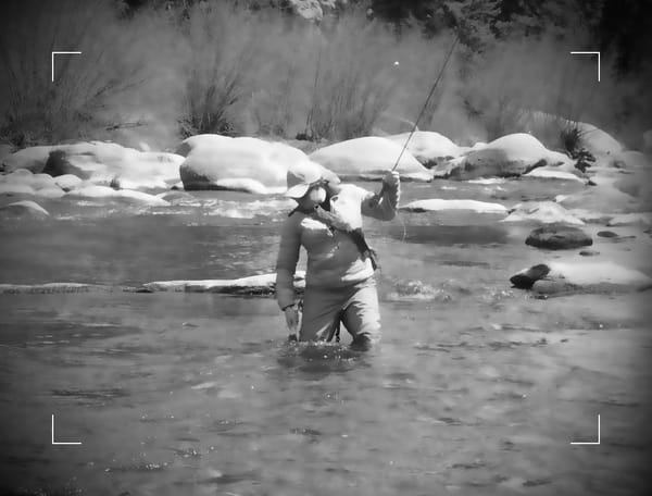 Landing a trout from a tailwater, South Platte River using indicators, airlock, thingamabobber, oros, strike indicator