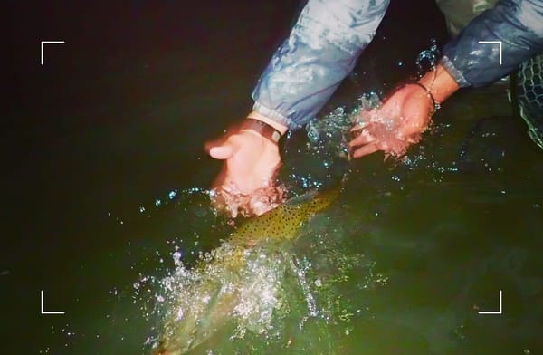  Releasing a stillwater trout from Delaney Buttes Lakes, Colorado