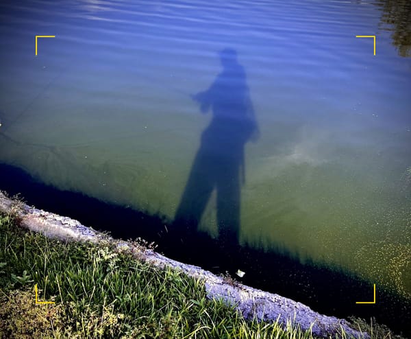 Walking the banks, fly fishing for urban carp, Denver South Platte River