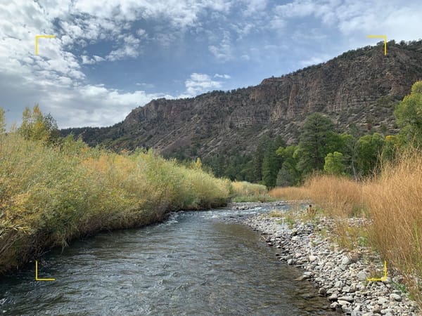 Fly fishing the Uncompahgre River, Colorado