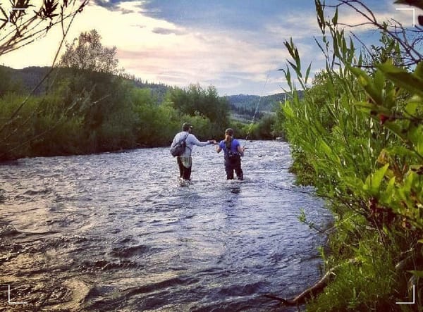 fly fishing the Logan River, Utah