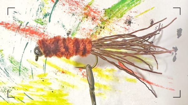 stanky leg fly pattern, tube jig fly pattern, crayfish fly pattern, euro nymphing fly pattern