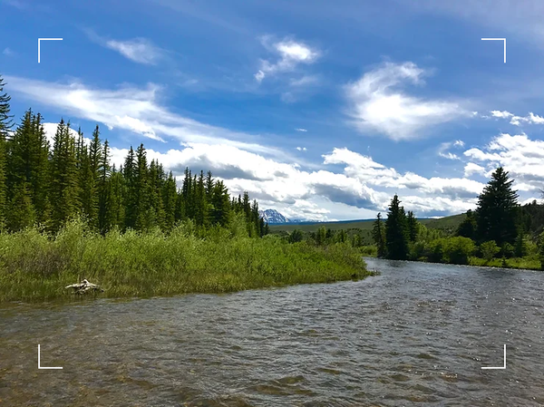 Key to Restoring the Middle Blue River to Gold Medal Status might be Phosphorus