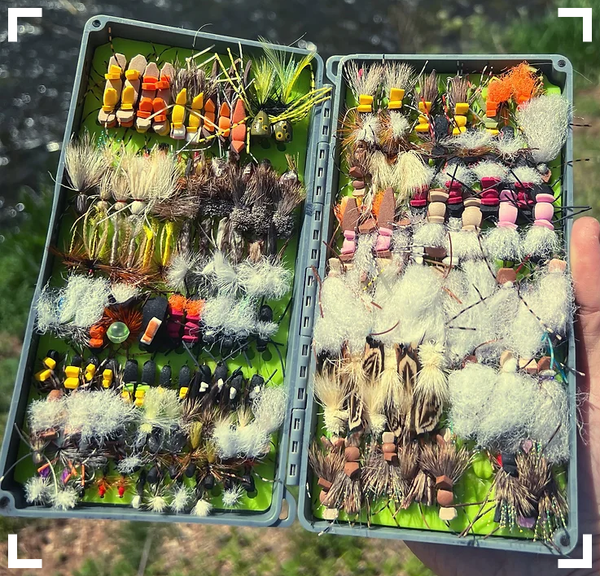 Fly box full of terrestrials and hoppers for late summer