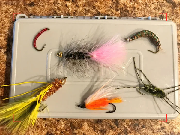 Favorite Flies for fishing runoff: Pigsticker, Woolly Bugger, Cranefly, Tequeely, Polar Shrimp, Pat's Rubber Legs