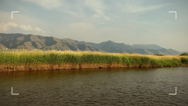 fly fishing the Salt River, Wyoming