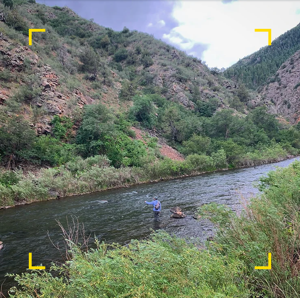 Euro-nymphing the South Platte, Waterton Canyon, Colorado