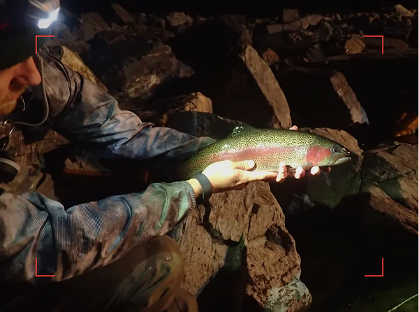 fly fishing at night, tailwaters in Colorado, trespassing